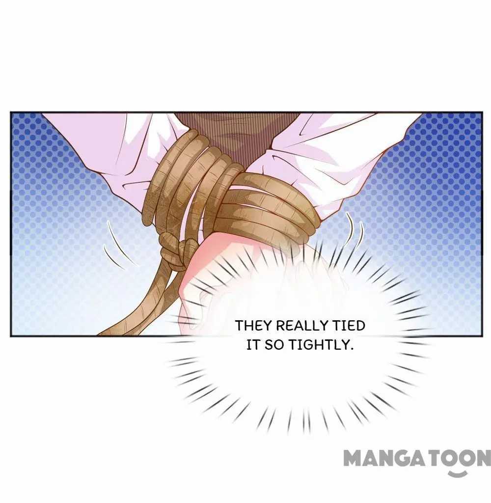 Page 13 of Chapter 228