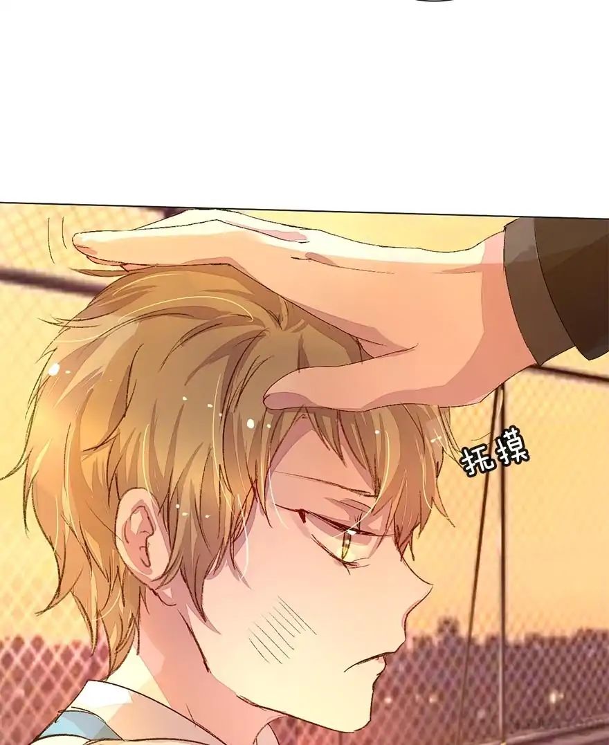 Page 14 of Chapter 41