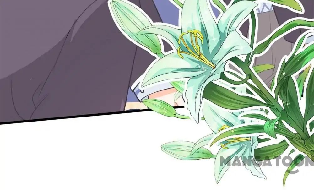 Page 16 of Chapter 117