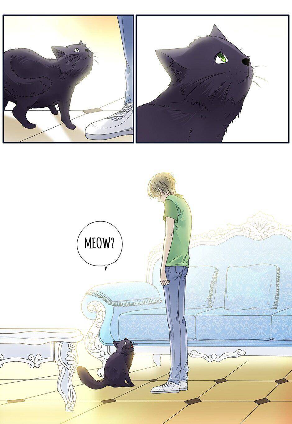 Page 8 of Chapter 221