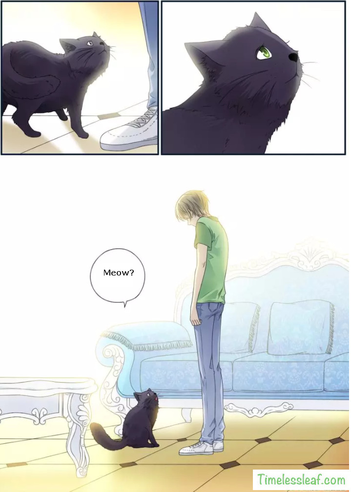Page 4 of Chapter 72.04