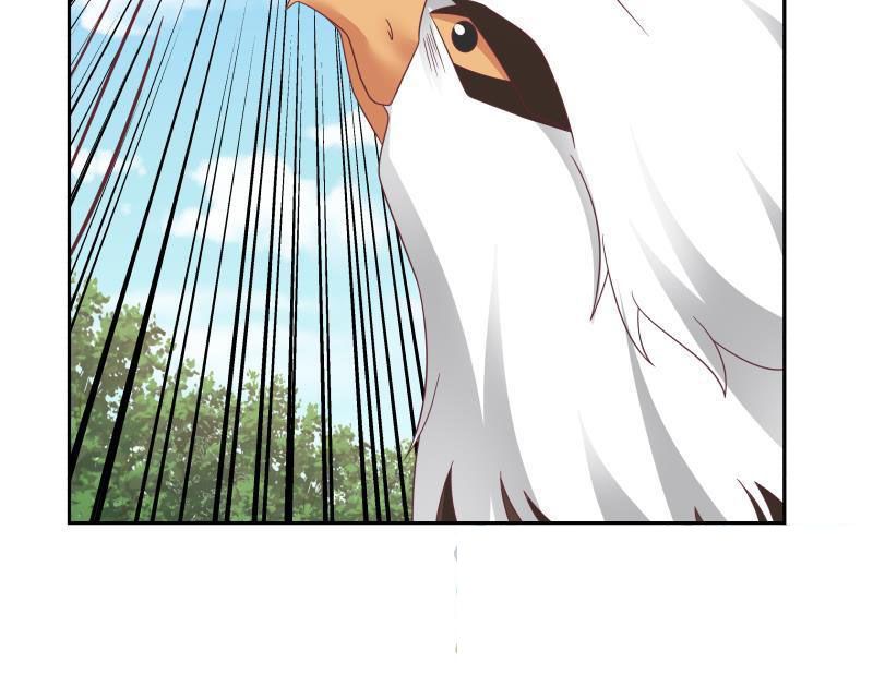 Page 13 of Chapter 198