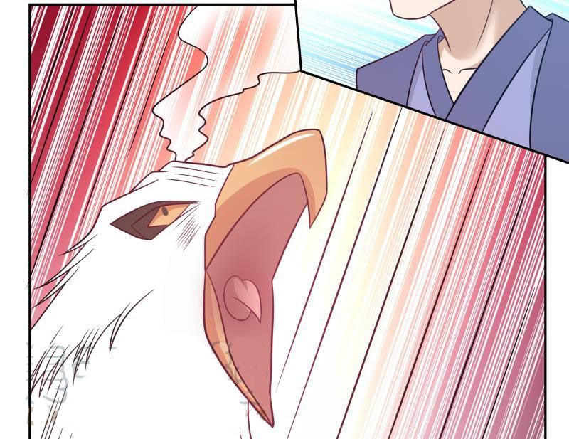 Page 17 of Chapter 199