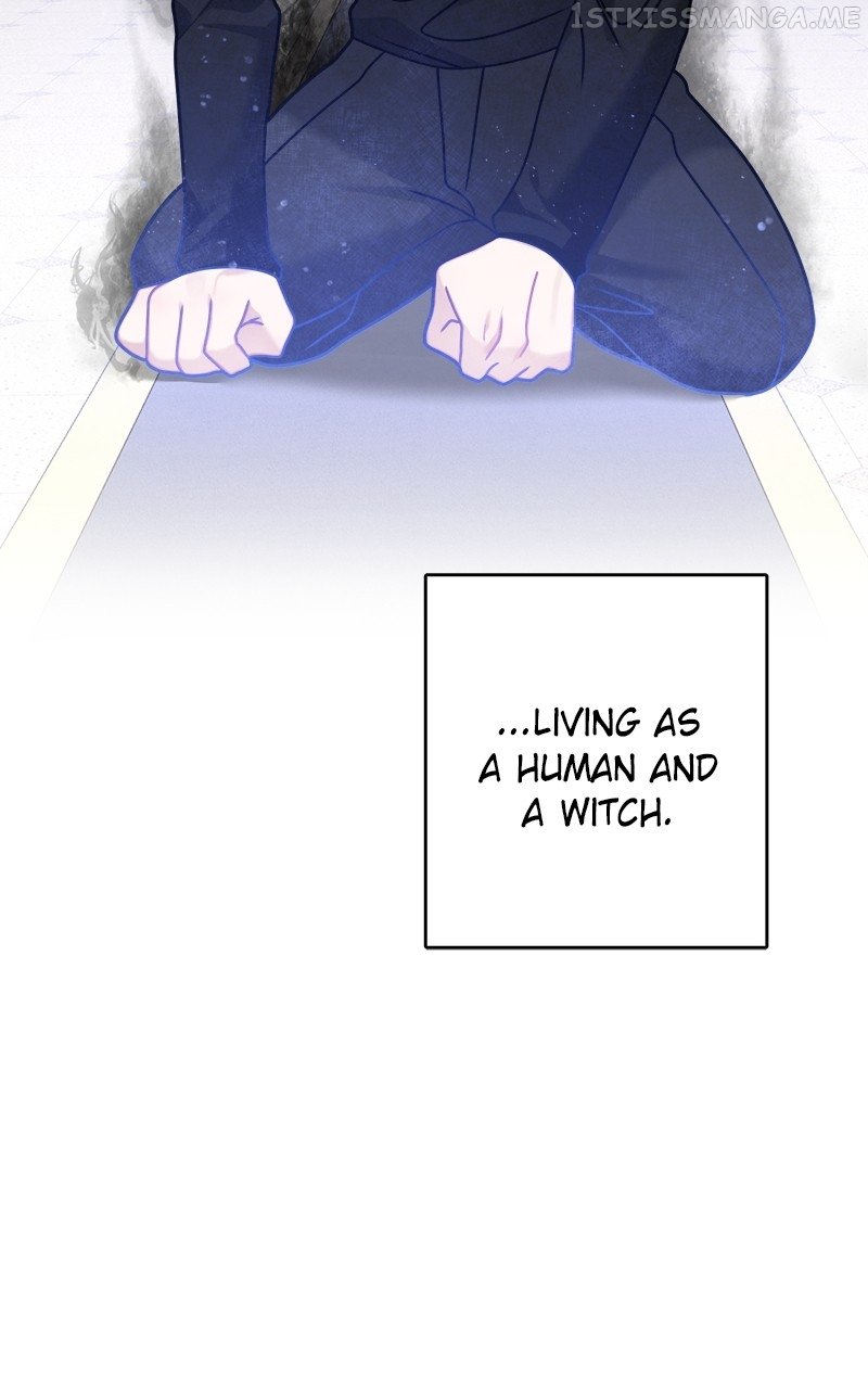 Page 14 of Chapter 116