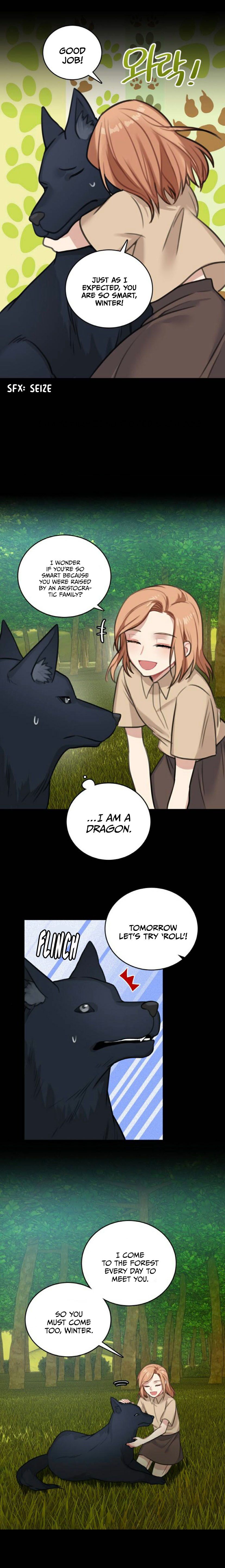 Page 13 of Chapter 13