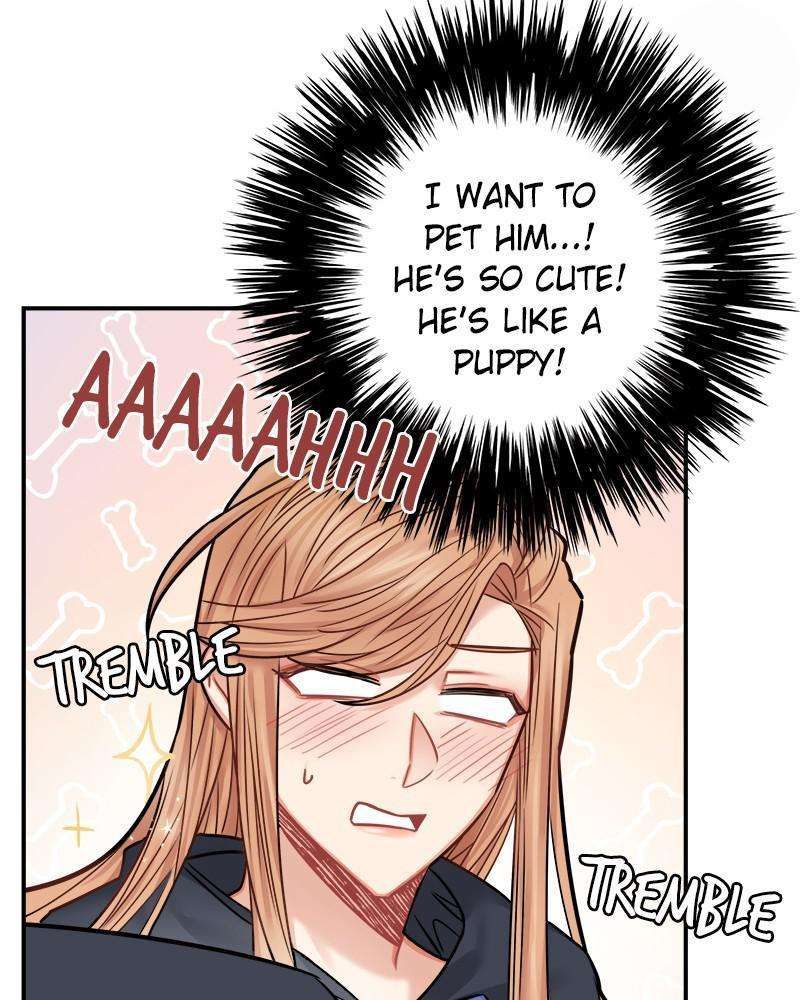 Page 17 of Chapter 43