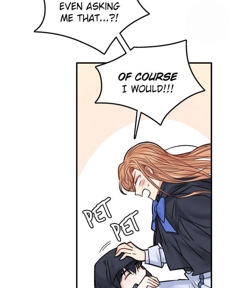 Page 29 of Chapter 43