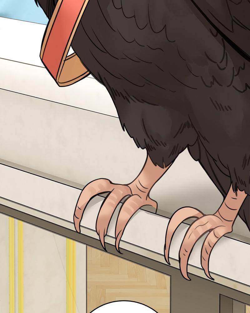 Page 134 of Chapter 49