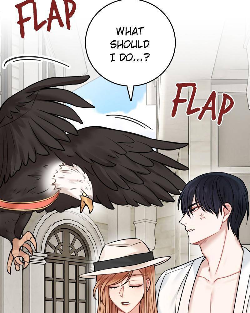 Page 5 of Chapter 50
