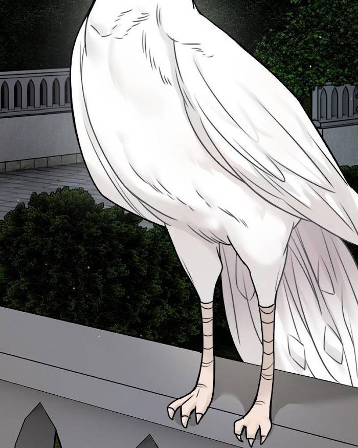Page 116 of Chapter 55