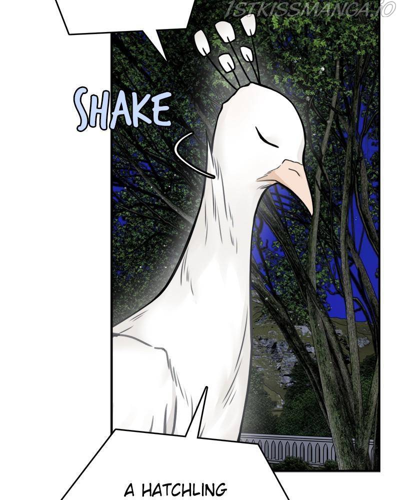 Page 25 of Chapter 56