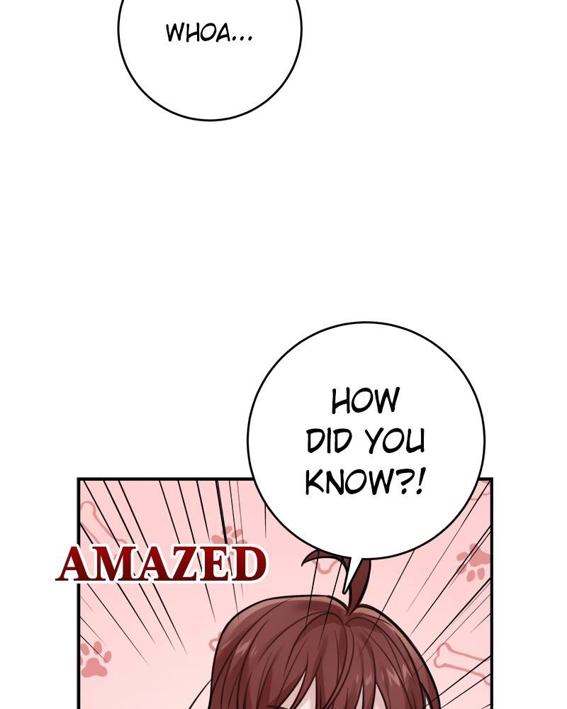 Page 3 of Chapter 74