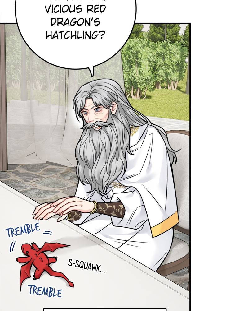 Page 25 of Chapter 81