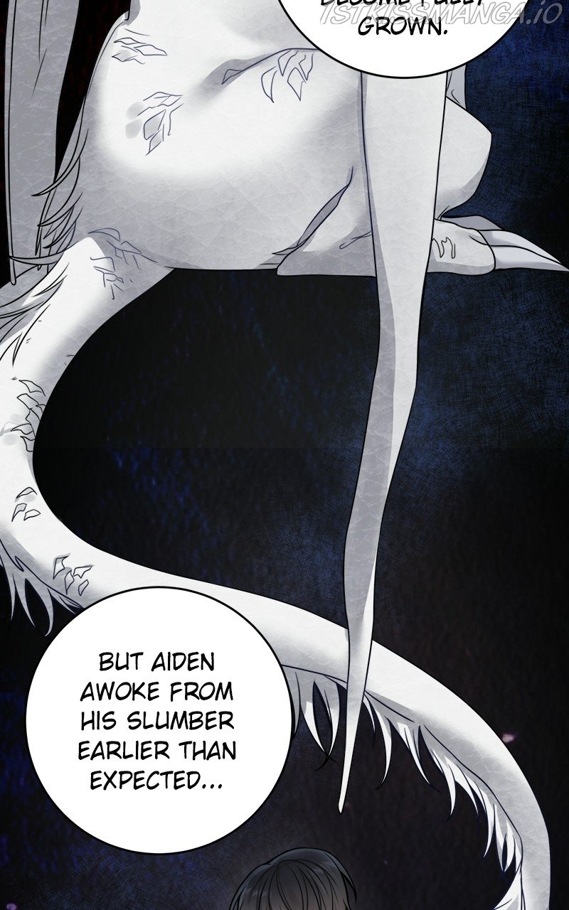Page 11 of Chapter 95