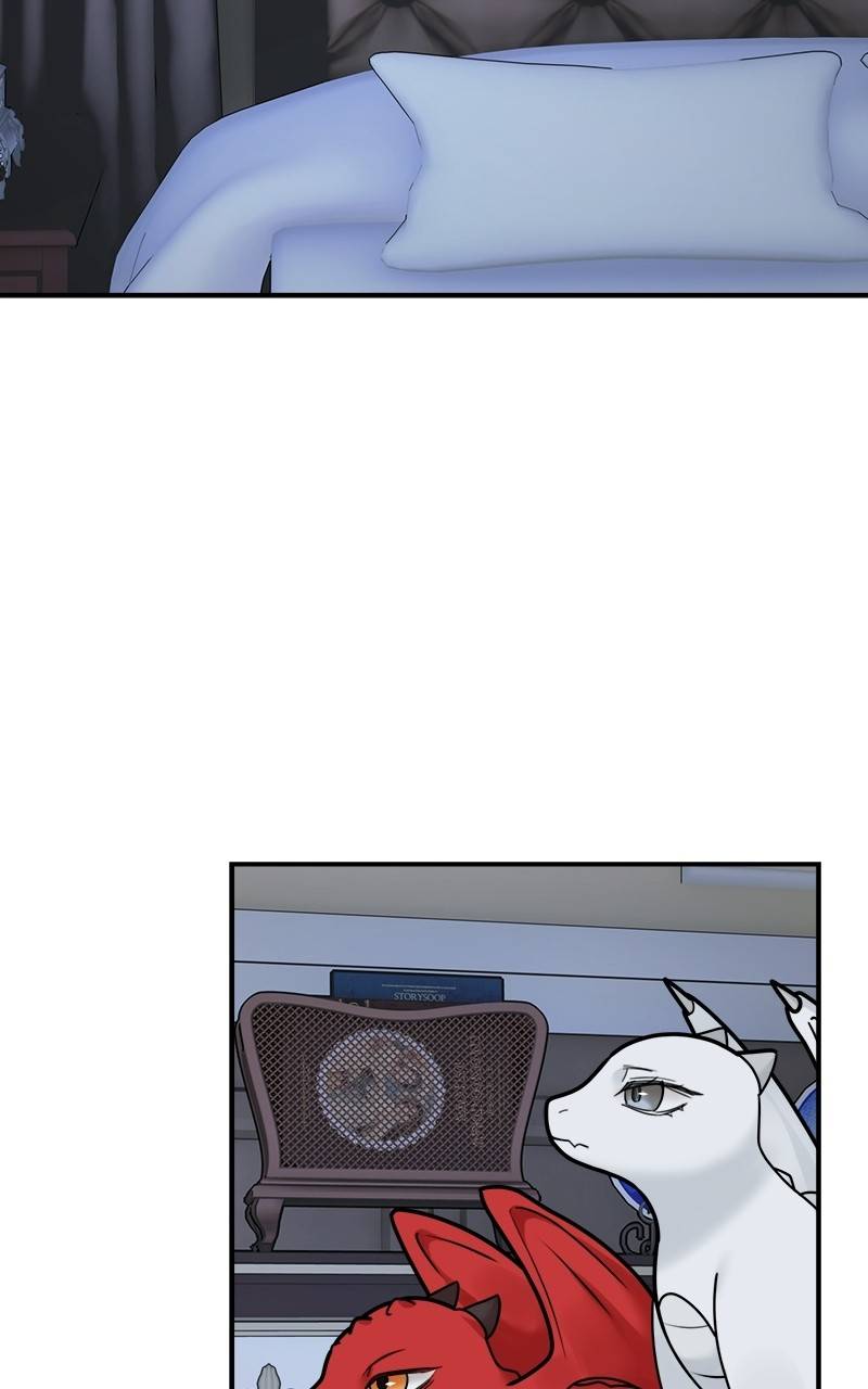 Page 41 of Chapter 97