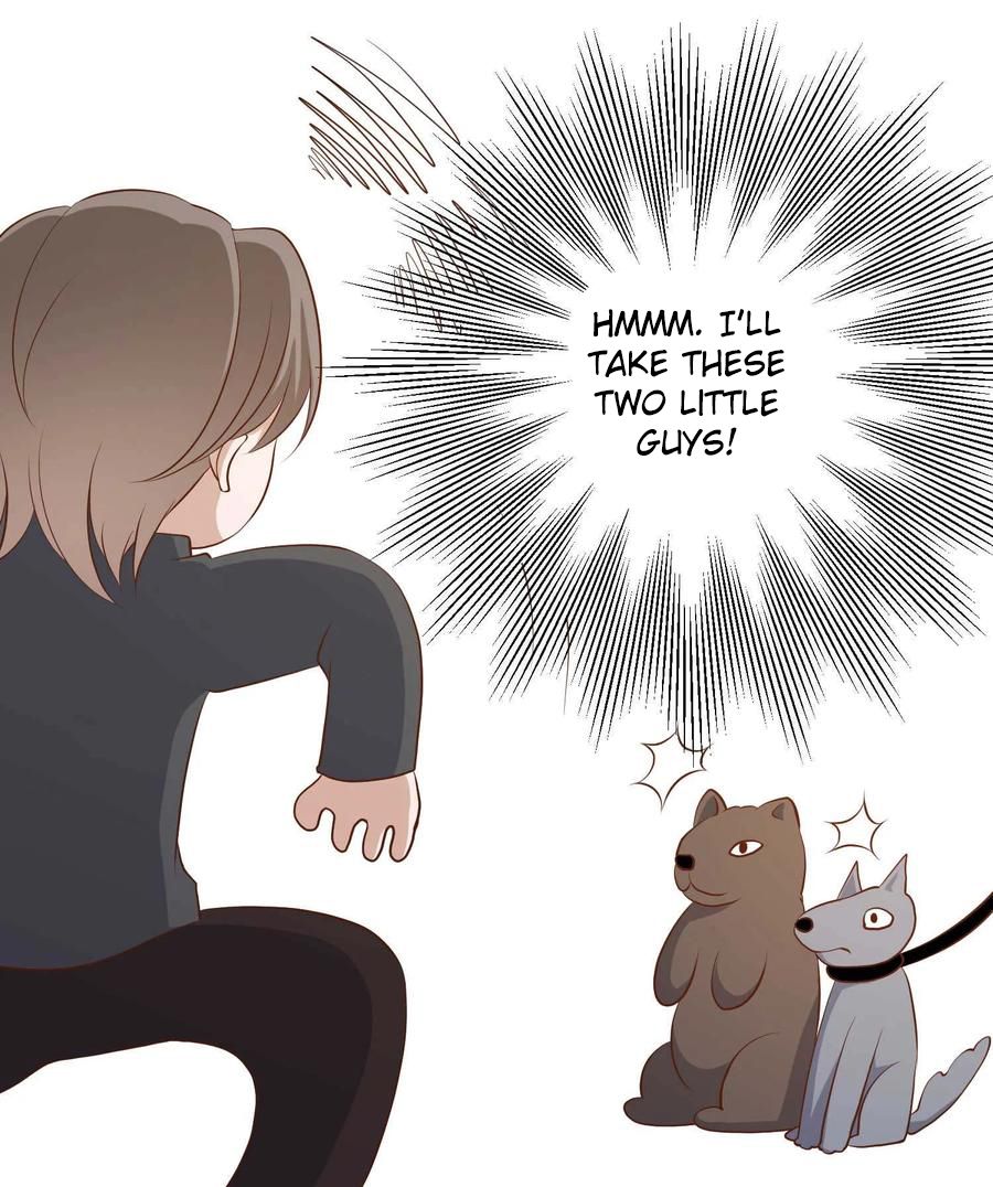 Page 34 of Chapter 49