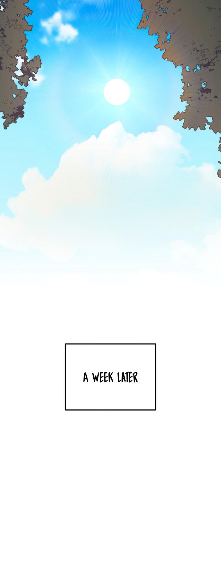 Page 52 of Chapter 132