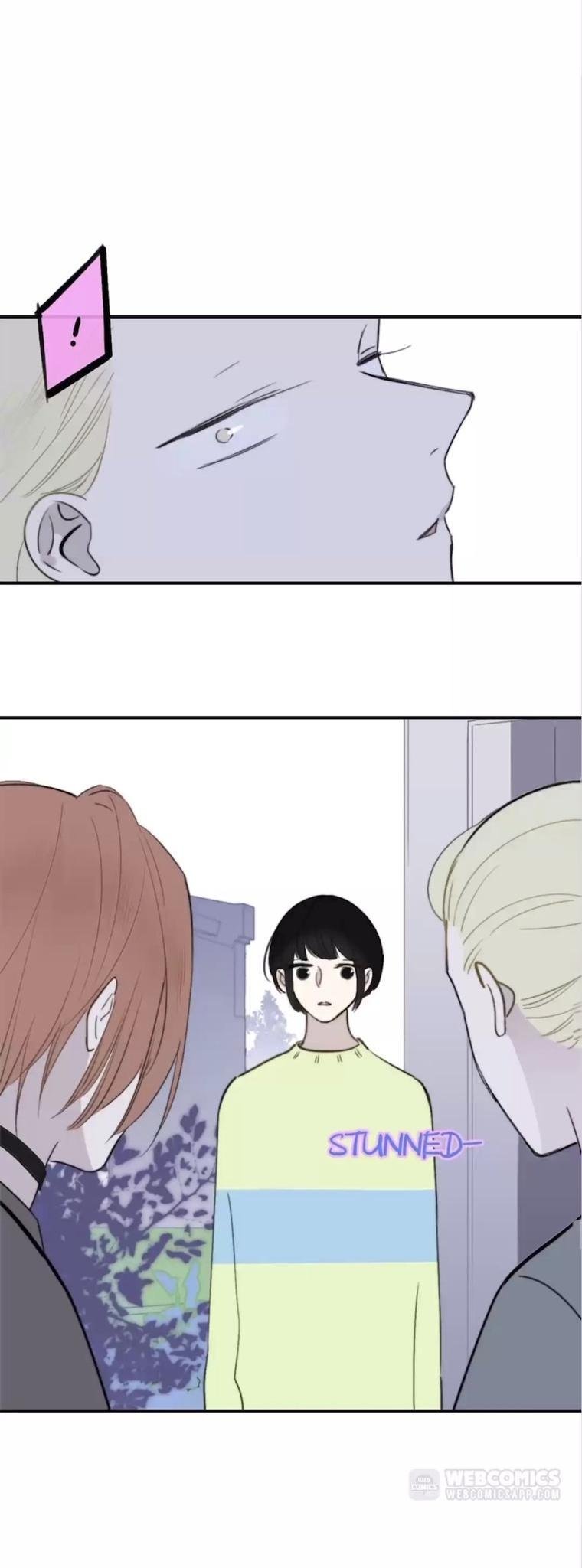 Page 15 of Chapter 19