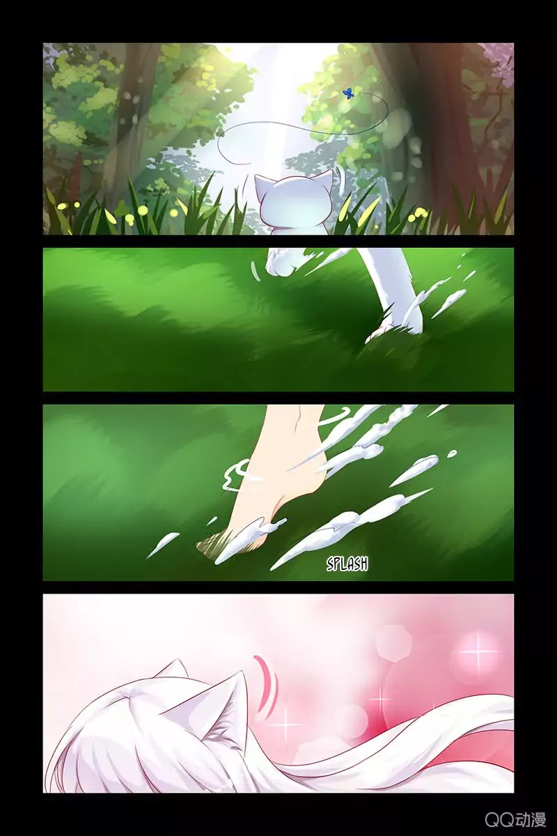 Page 3 of Chapter 13