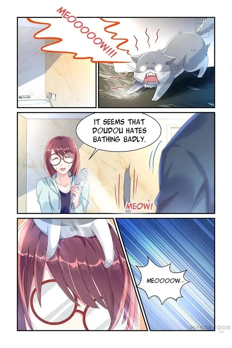 Page 5 of Chapter 29