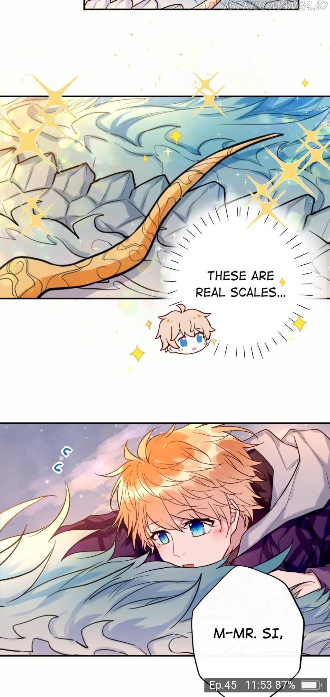 Page 13 of Chapter 45