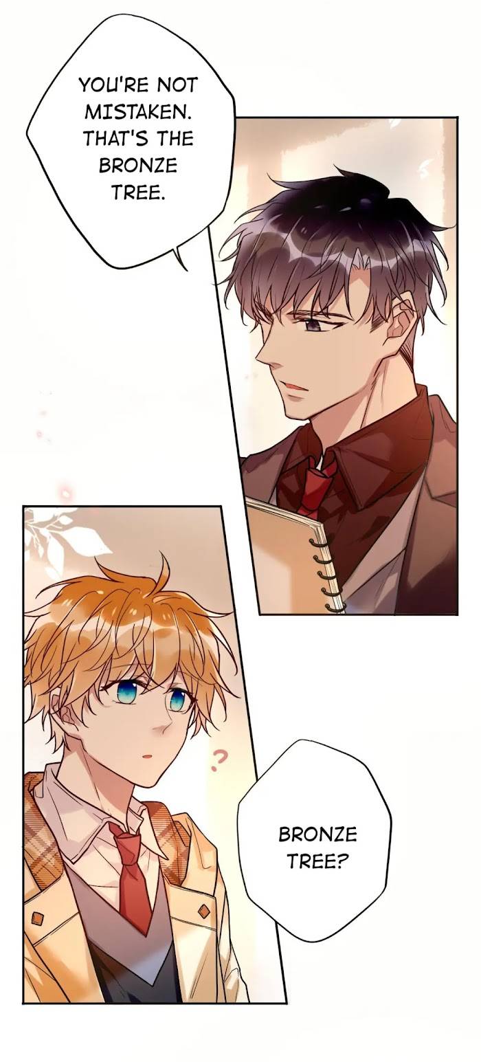 Page 19 of Chapter 48