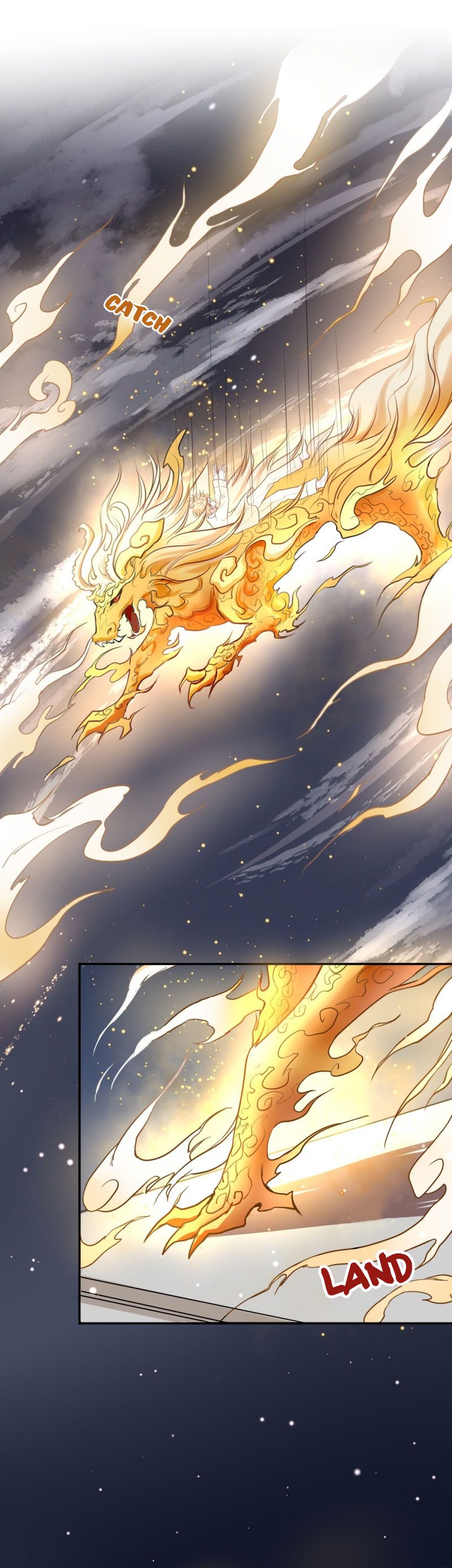 Page 14 of Chapter 8