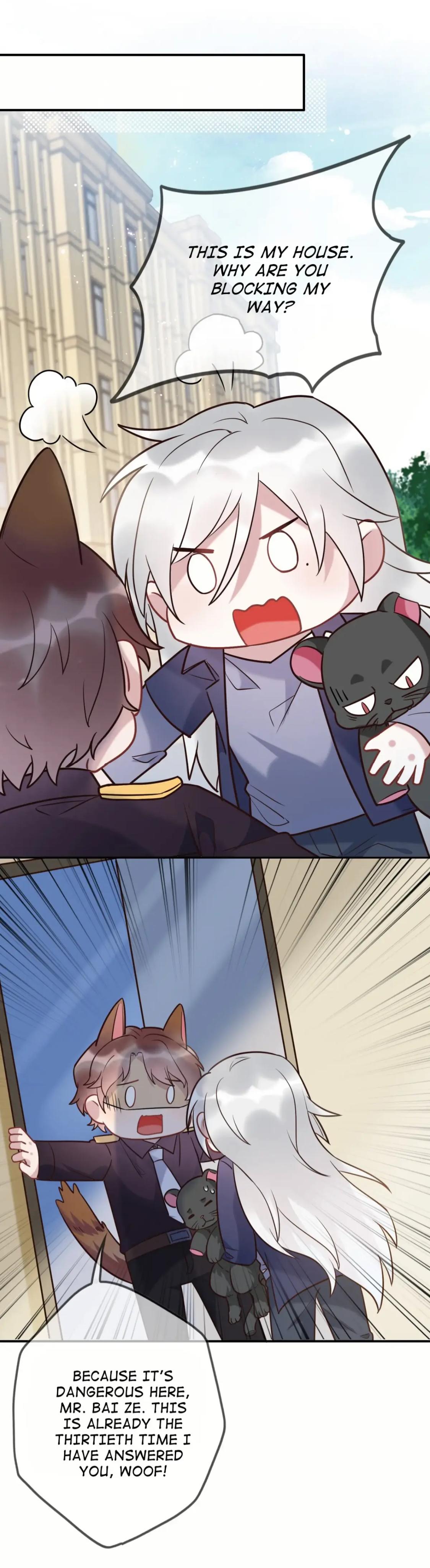 Page 15 of Chapter 84