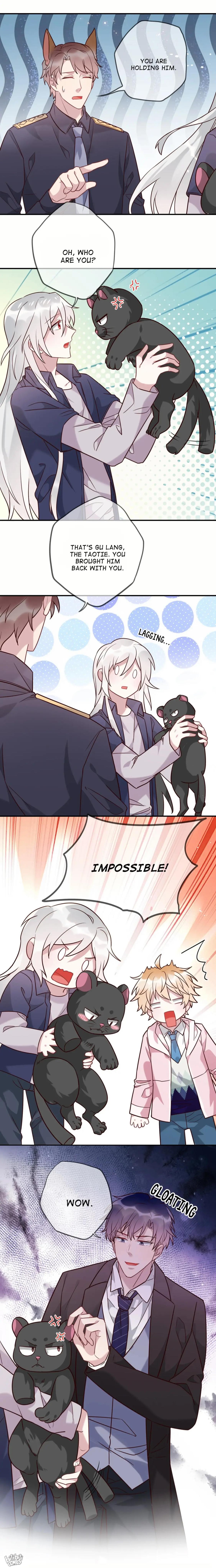 Page 18 of Chapter 84