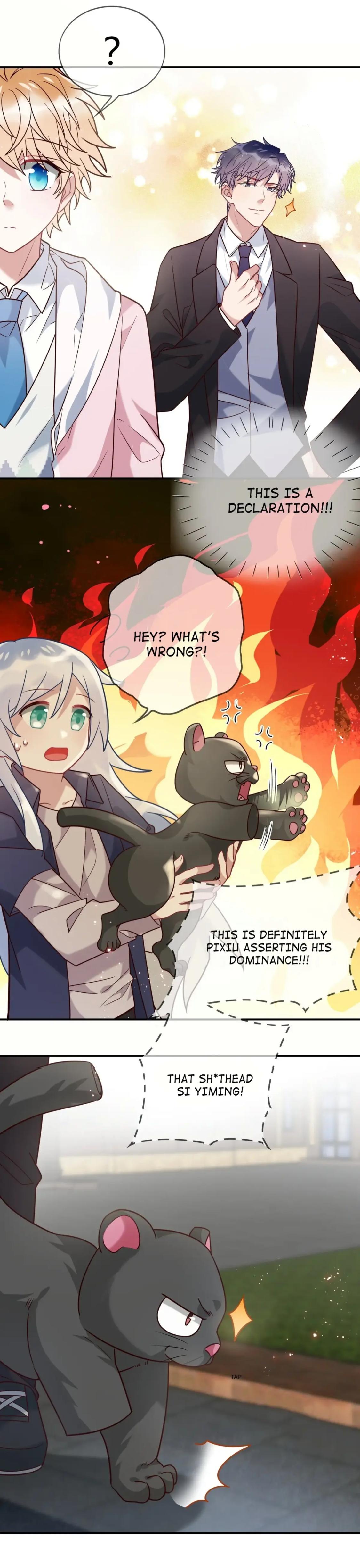 Page 4 of Chapter 85