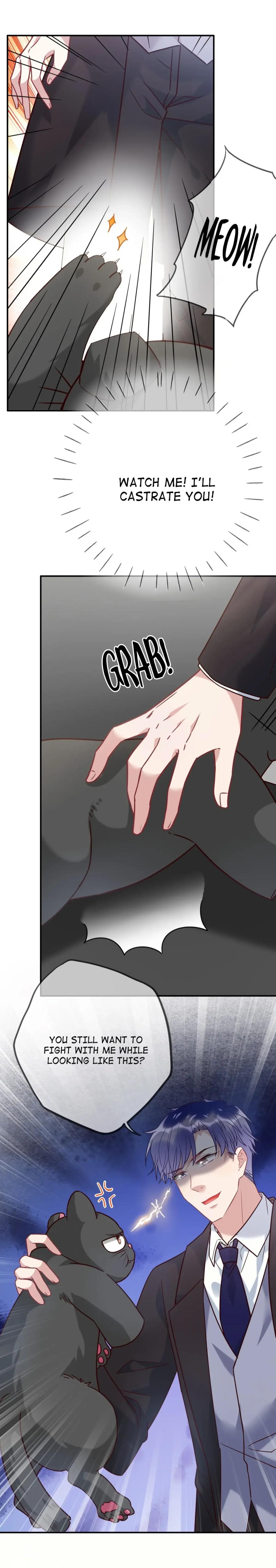 Page 5 of Chapter 85