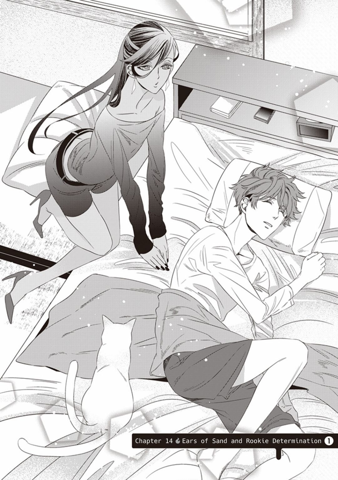Page 4 of Chapter 14