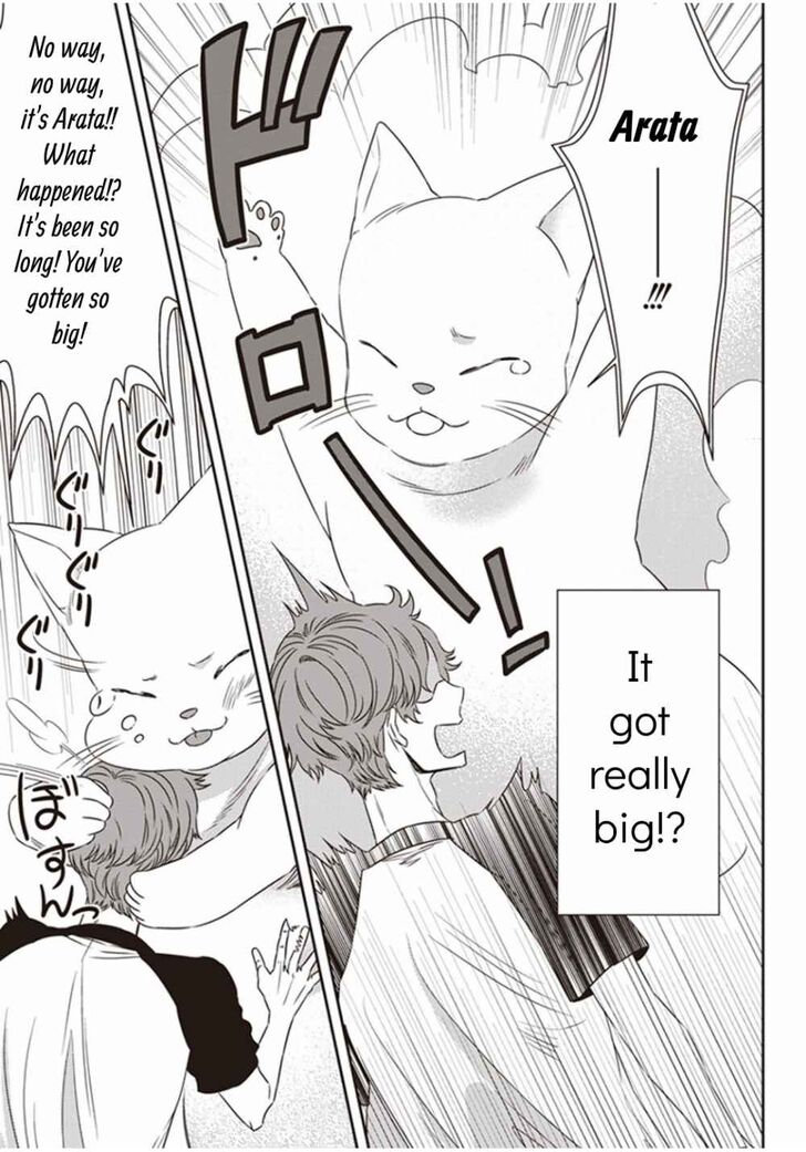 Page 23 of Chapter 2