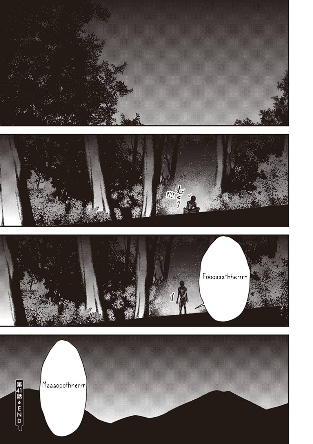 Page 43 of Chapter 41
