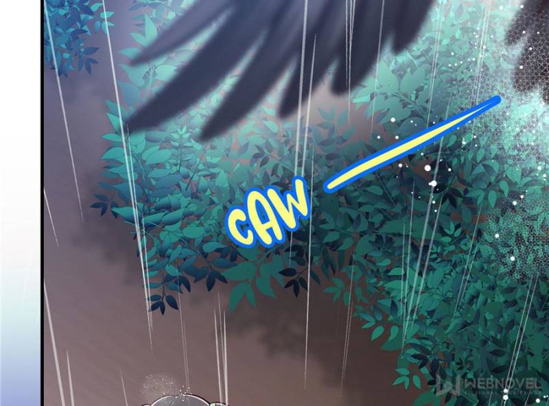 Page 20 of Chapter 13