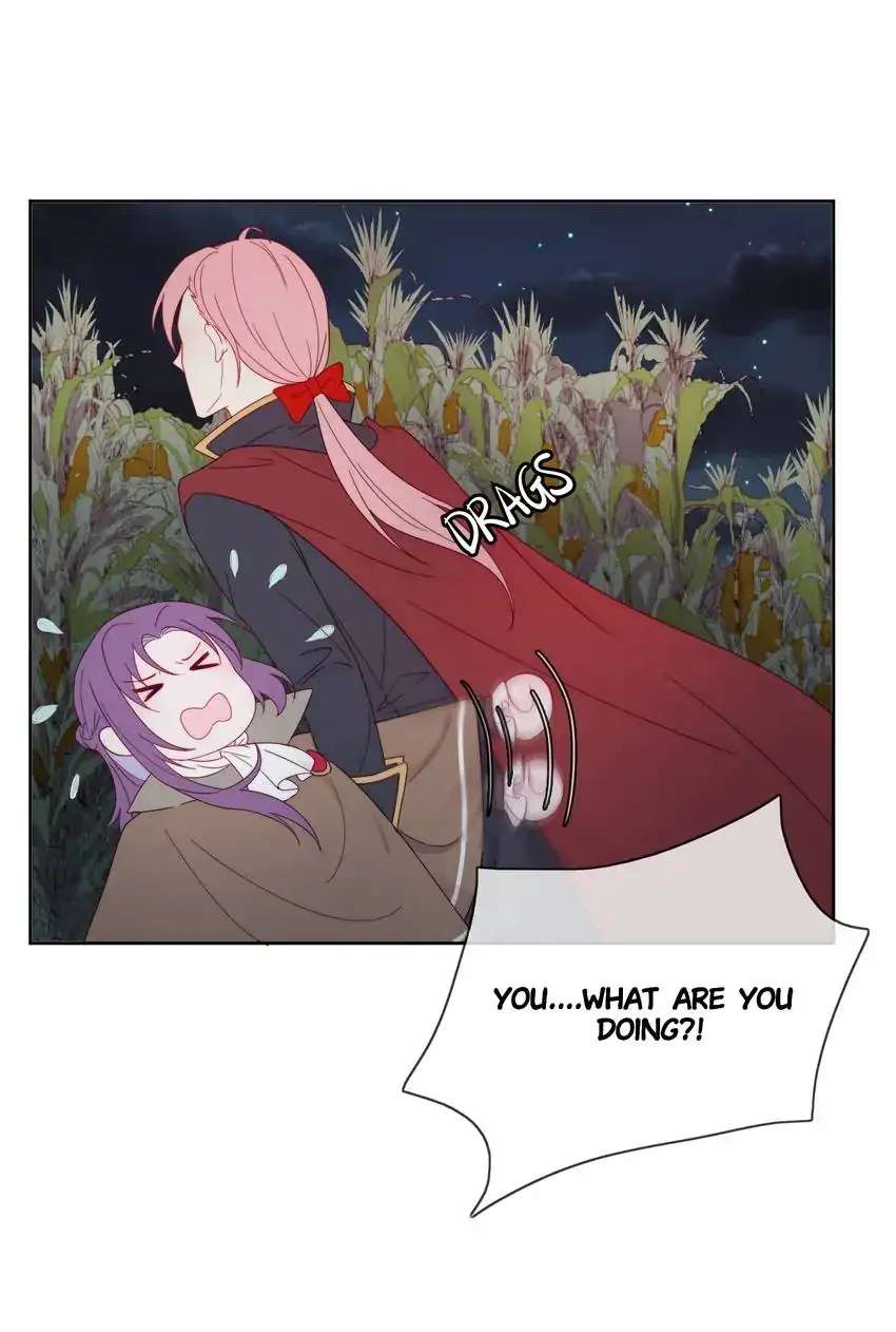 Page 12 of Chapter 33