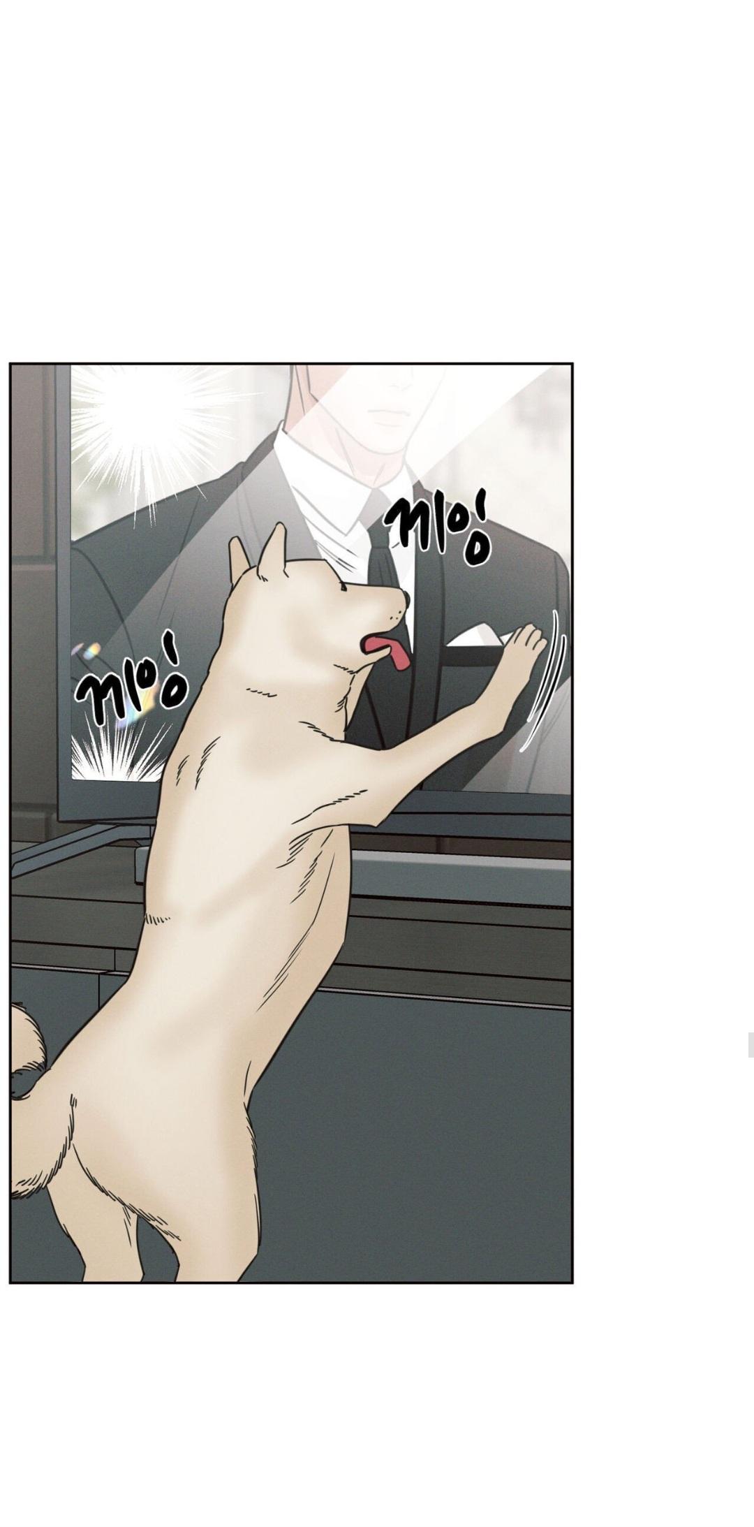 Page 57 of Chapter 41