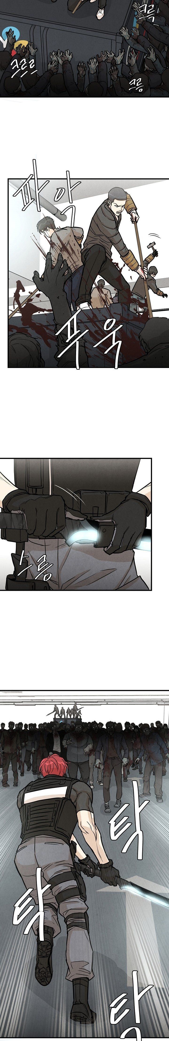 Page 15 of Chapter 15