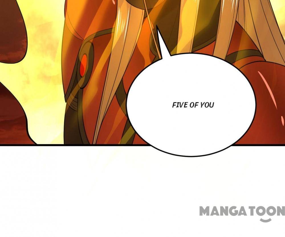 Page 41 of Chapter 215