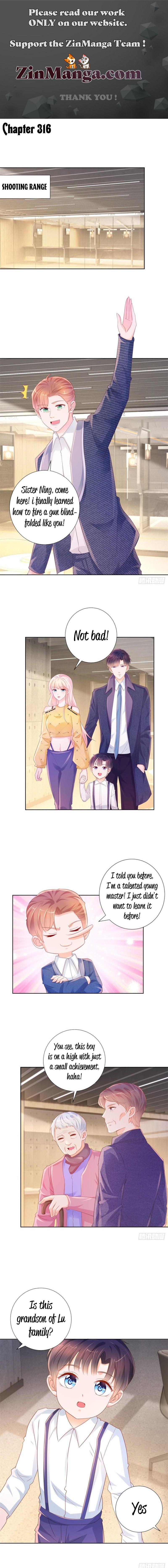 Page 1 of Chapter 316