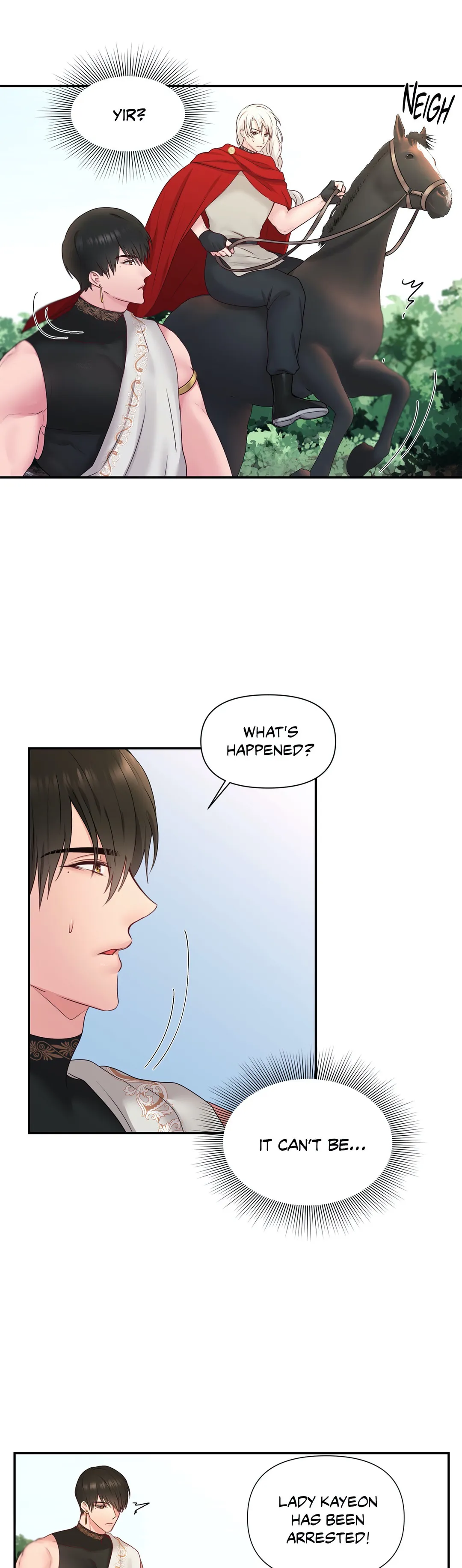 Page 6 of Chapter 29