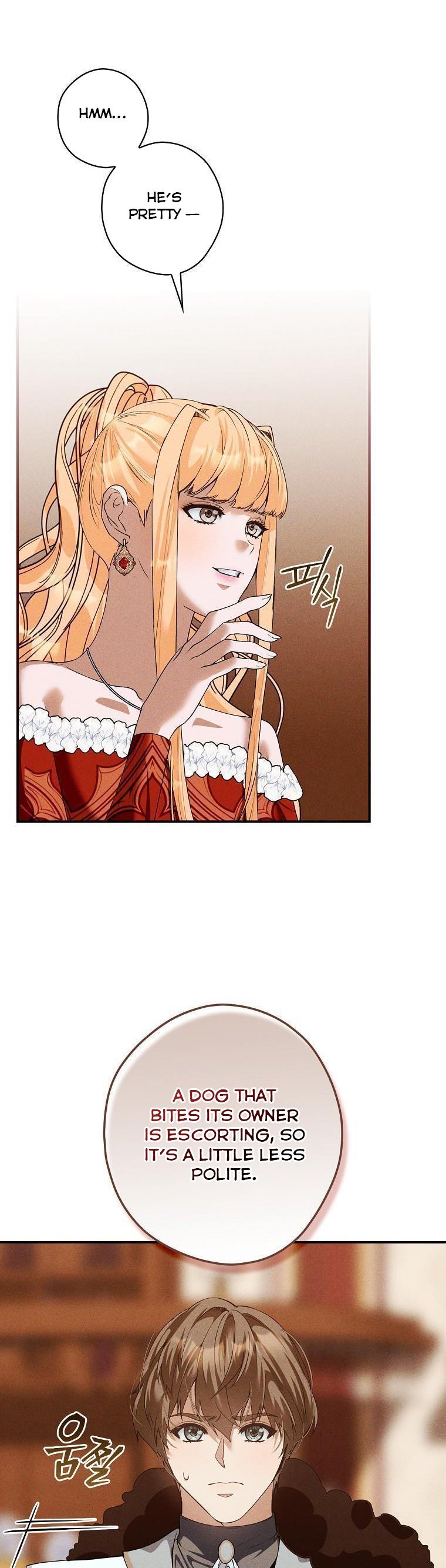Page 17 of Chapter 41