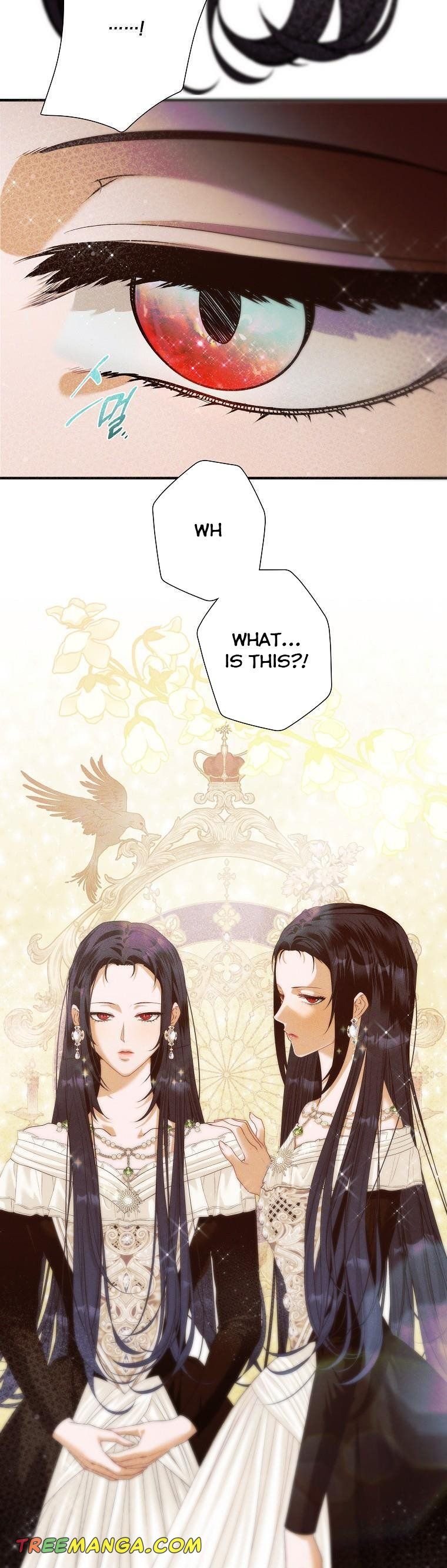 Page 13 of Chapter 44