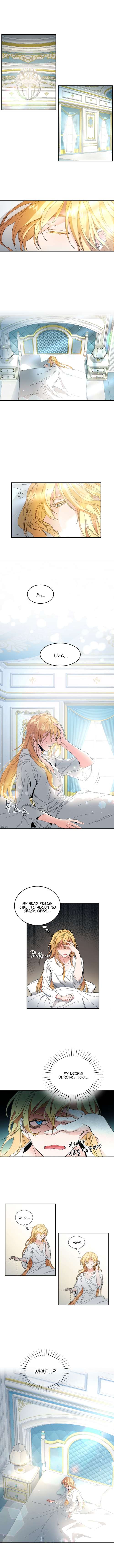 Page 11 of Chapter 1