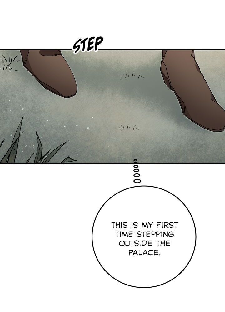 Page 48 of Chapter 19