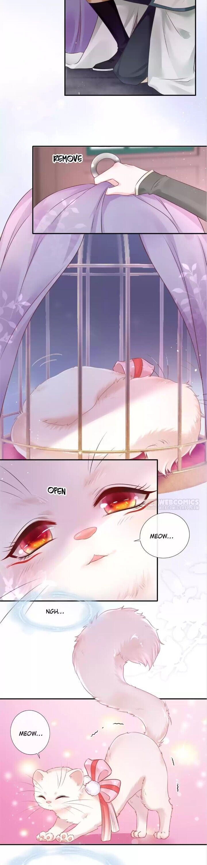 Page 7 of Chapter 1