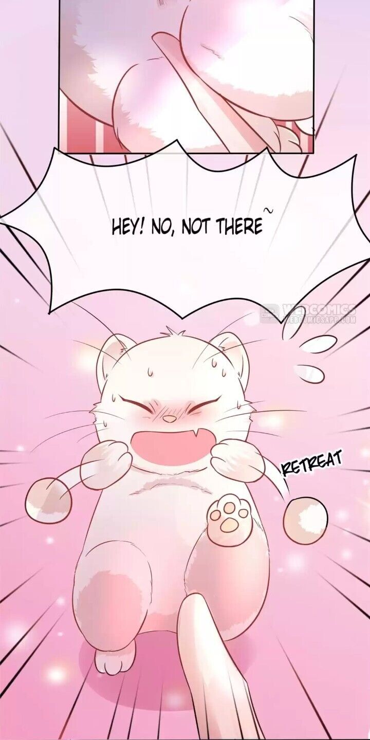 Page 25 of Chapter 2