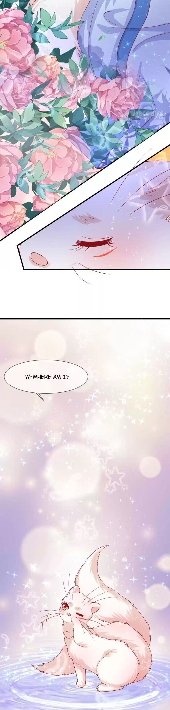 Page 6 of Chapter 24