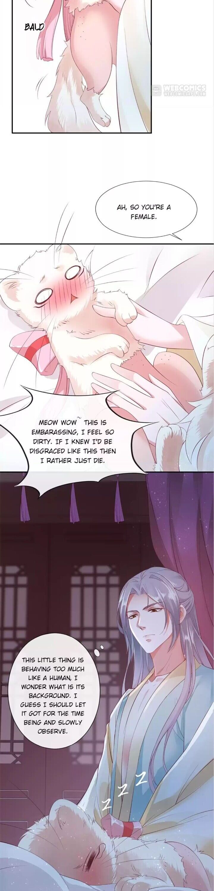 Page 6 of Chapter 3