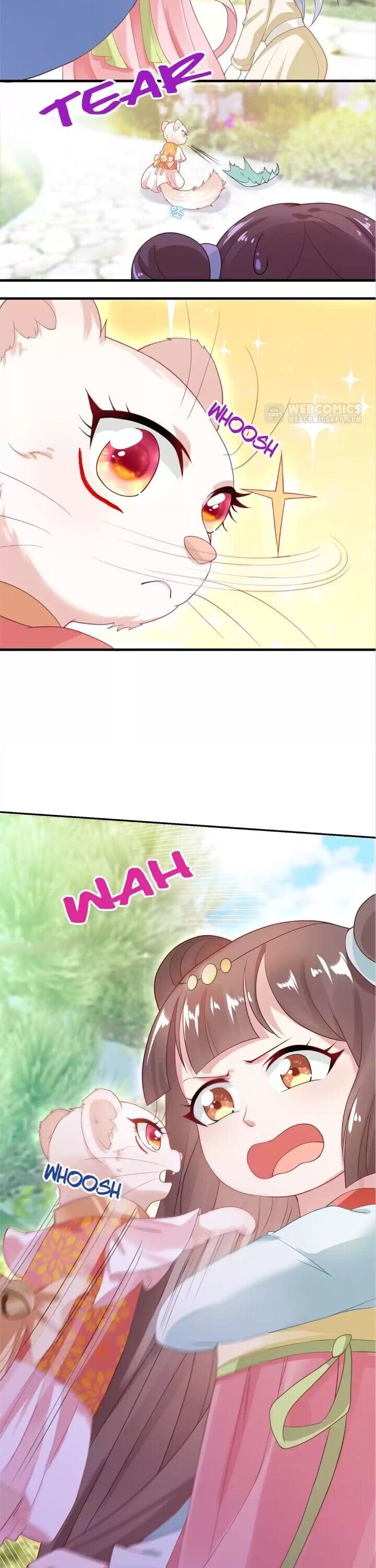 Page 11 of Chapter 5